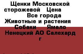 Щенки Московской сторожевой › Цена ­ 35 000 - Все города Животные и растения » Собаки   . Ямало-Ненецкий АО,Салехард г.